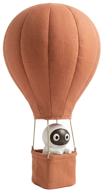Doru in a hot-air balloon